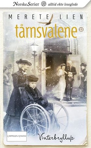 Vinterbryllup (ebok) av Merete Lien