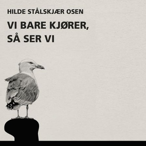 Vi bare kjører, så ser vi (lydbok) av Hilde S