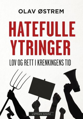 Hatefulle ytringer (ebok) av Olav Østrem