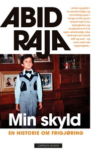 Min skyld (ebok) av Abid Q. Raja