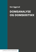 Domsanalyse og domskritikk