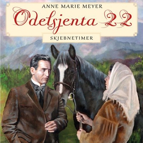 Skjebnetimer (lydbok) av Anne Marie Meyer