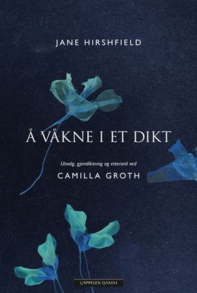 Å våkne i et dikt - utvalg, gjendiktning og etterord ved Camilla Groth (ebok) av Jane Hirshfield