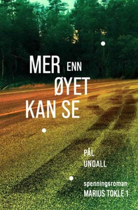 Mer enn øyet kan se (ebok) av Pål Undall