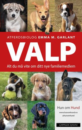 Valp - alt du må vite om ditt nye familiemedlem (ebok) av Emma M. Garlant