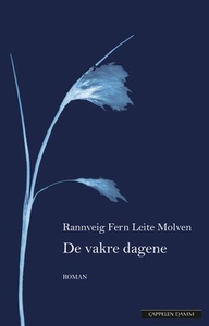 De vakre dagene (ebok) av Rannveig Fern Leite