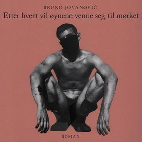 Etter hvert vil øynene venne seg til mørket - roman (lydbok) av Bruno Jovanović