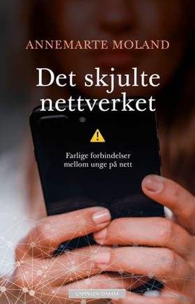 Det skjulte nettverket - farlige forbindelser mellom unge på nett (ebok) av Annemarte Moland