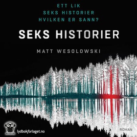Seks historier (lydbok) av Matt Wesolowski