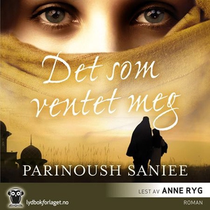 Det som ventet meg (lydbok) av Parinoush Sani