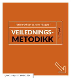 Veiledningsmetodikk (ebok) av Rune Høigaard