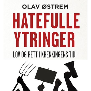 Hatefulle ytringer (lydbok) av Olav Østrem