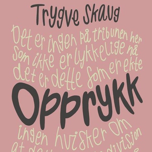 Opprykk (lydbok) av Trygve Skaug