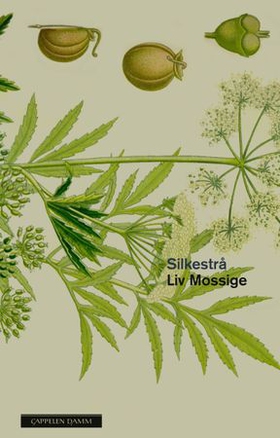 Silkestrå