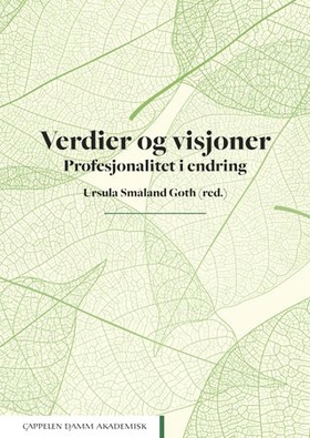 Verdier og visjoner