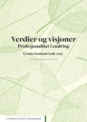 Verdier og visjoner - profesjonalitet i endring (ebok) av -