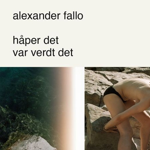 Håper det var verdt det (lydbok) av Alexander