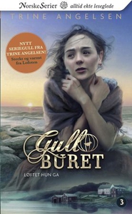 Løftet hun ga (ebok) av Trine Angelsen