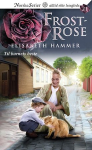 Til barnets beste (ebok) av Elisabeth Hammer