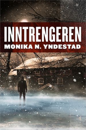 Inntrengeren - en kriminalroman basert på virkelige hendelser (ebok) av Monika Nordland Yndestad