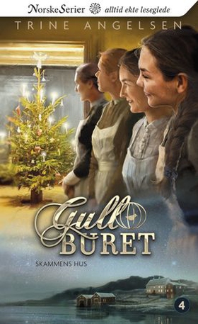 Skammens hus (ebok) av Trine Angelsen