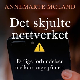 Det skjulte nettverket - farlige forbindelser mellom unge på nett (lydbok) av Annemarte Moland