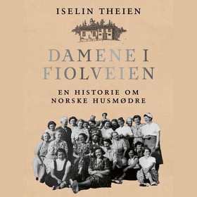 Damene i Fiolveien - en historie om norske husmødre (lydbok) av Iselin Theien