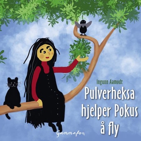 Pulverheksa hjelper Pokus å fly (lydbok) av Ingunn Aamodt