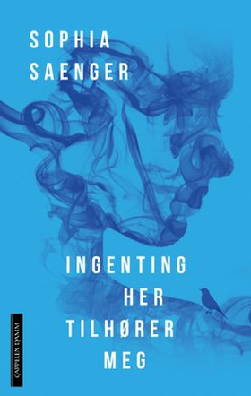Ingenting her tilhører meg (ebok) av Sophia Saenger