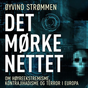Det mørke nettet (lydbok) av Øyvind Strømmen