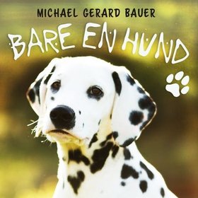 Bare en hund