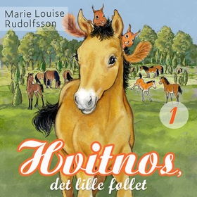 Hvitnos, det lille føllet (lydbok) av Marie Louise Rudolfsson