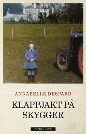 Klappjakt på skygger (ebok) av Annabelle Despard