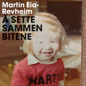 Å sette sammen bitene - min historie om vold, skam og reparasjon (lydbok) av Martin Eia-Revheim