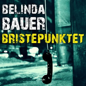 Bristepunktet (lydbok) av Belinda Bauer