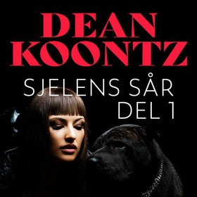 Sjelens sår - Del 1 (lydbok) av Dean R. Koontz