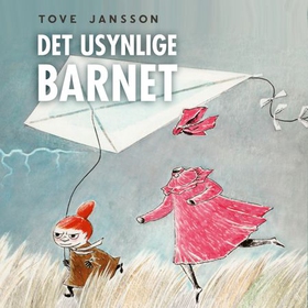 Det usynlige barnet