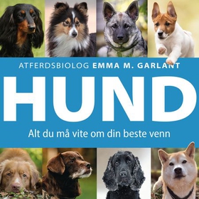 Hund