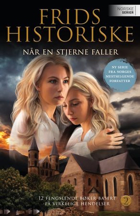 Når en stjerne faller (ebok) av Frid Ingulstad