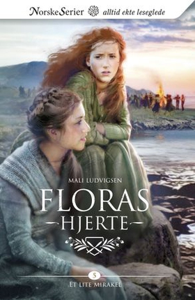 Et lite mirakel (ebok) av Mali Ludvigsen