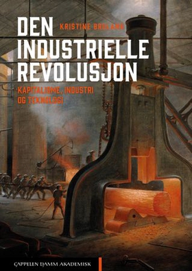 Den industrielle revolusjon - kapitalisme, industri og teknologi (ebok) av Kristine Bruland