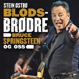 Blodsbrødre - Bruce Springsteen og oss (lydbok) av Stein Østbø