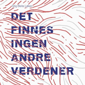 Det finnes ingen andre verdener