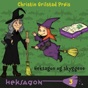 Heksagon og skyggene (lydbok) av Christin Grilstad Prøis