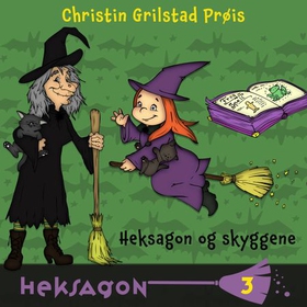 Heksagon og skyggene