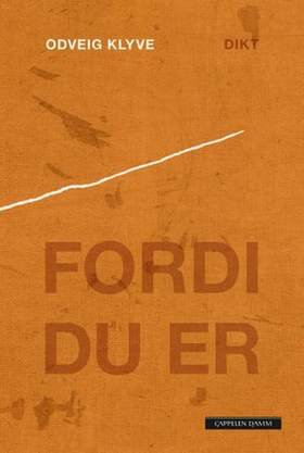 Fordi du er - dikt (ebok) av Odveig Klyve