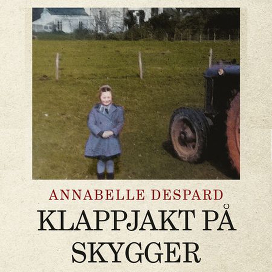 Klappjakt på skygger