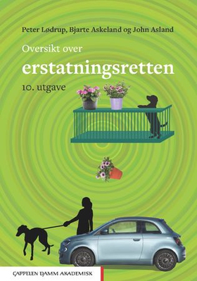 Oversikt over erstatningsretten (ebok) av Peter Lødrup