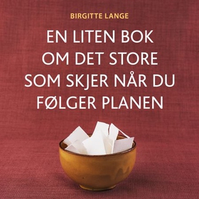 En liten bok om det store som skjer når du følger planen - varig endring, en oppgave hver uke, enkel, effektiv og morsom metode (lydbok) av Birgitte Lange
