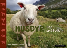 Husdyr for småfolk